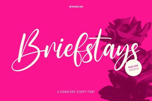 Briefstays: A Script Font for Editorial Excellence