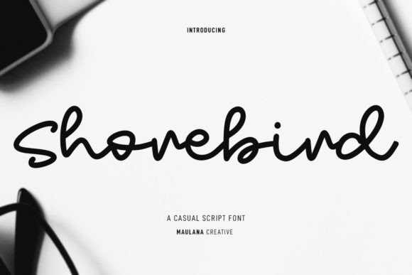 Shorebird: A Modern Script Font for Web Design